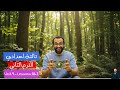 الترم الثاني أبسط شرح منهج انجليزي تالتة اعدادي 2026 الوحدة التاسعة الدرسيين الاول و الثاني 