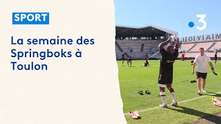 Coupe du monde de rugby 2023 : les Springboks à Toulon