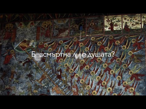 Видео: Вярва ли Аристотел, че душата е безсмъртна?