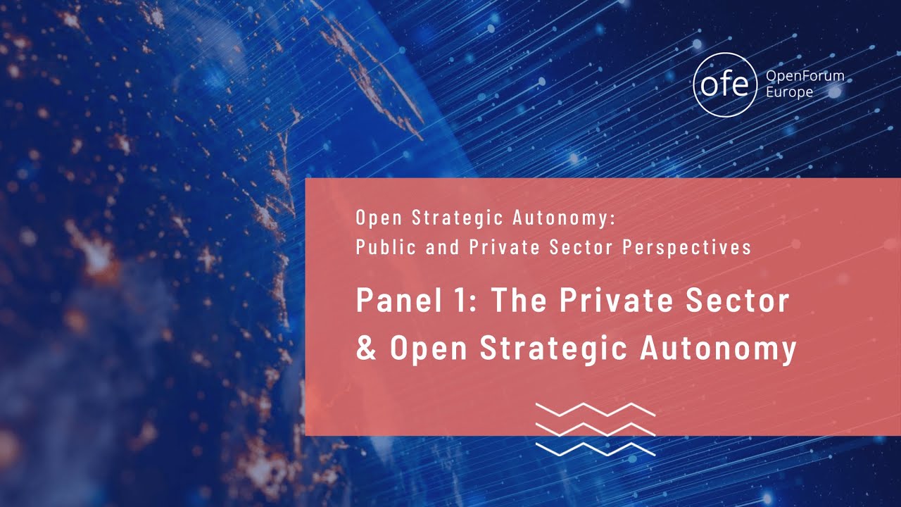 The Private Sector & Open Strategic Autonomy (Panel 1)