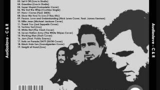 Video thumbnail of "Audioslave ~ Gold (rod edit)"