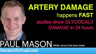 Paul Mason G3 Artery Damage Happens Fast Studies Show Glycocalx Damage In 24 Hours