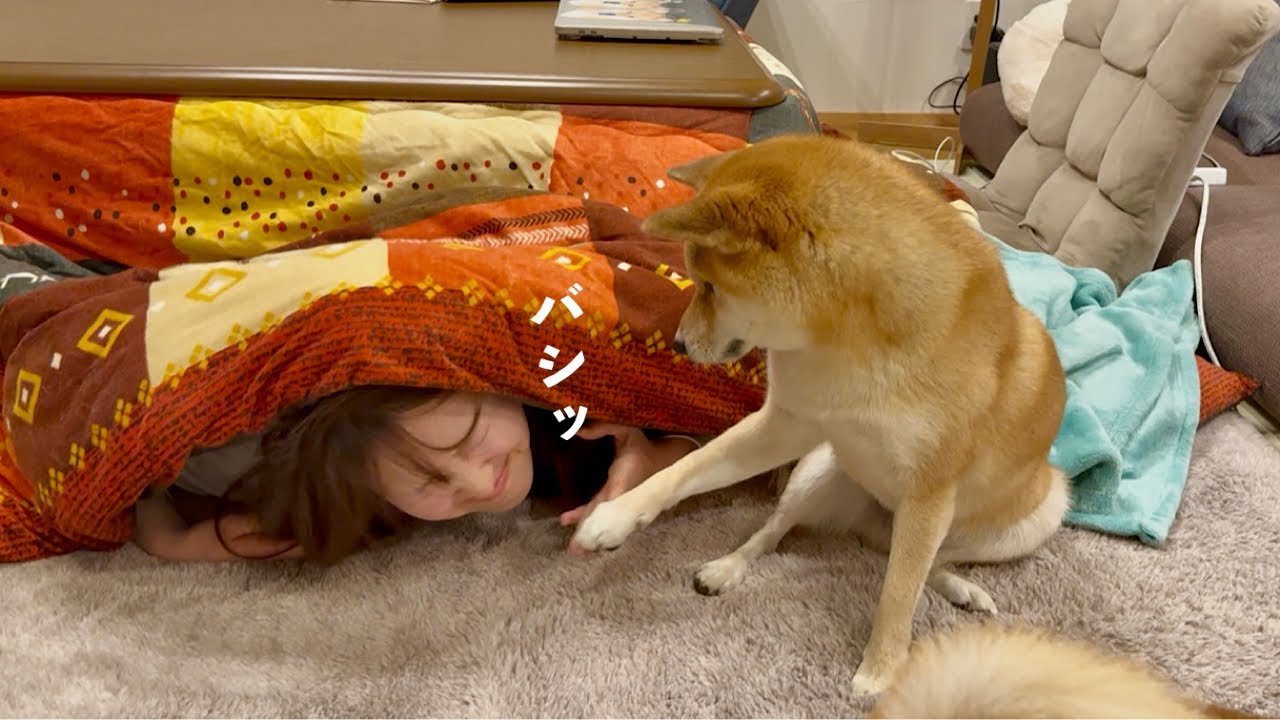 I tried disappearing while my dog was eating and got slapped in