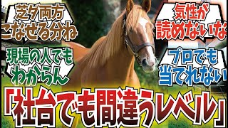 「オルフェ産駒ってマジで牧場関係者でもよく分からないんだな」に対するみんなの反応集