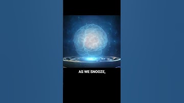 Sleep is the key | Memory consolidation Evidence Based Science