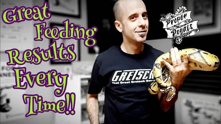 Proven Tip: Get Your Ball Python to Eat Thawed Rats Every Time