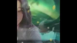 𝙃𝙞𝙡𝙖𝙣𝙜 𝙗𝙮 𝙀𝙡𝙨𝙖 𝙋𝙞𝙩𝙖𝙡𝙤𝙠𝙖