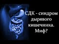 Важно! СДК - синдром дырявого кишечника. Миф? часть 1