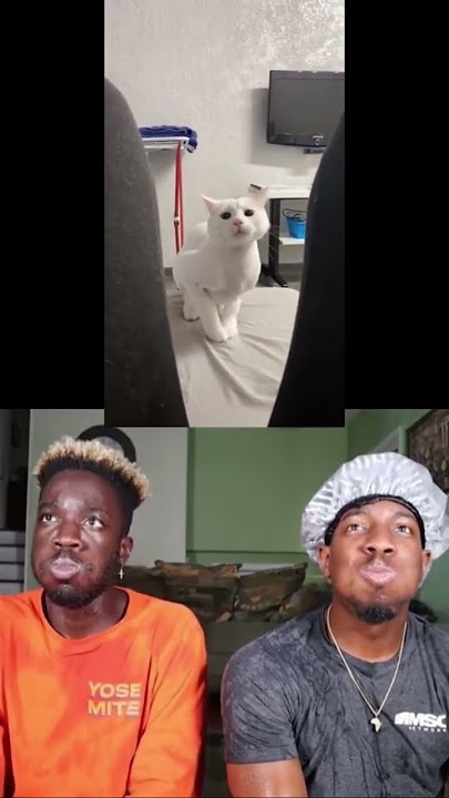 #meme