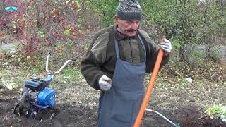 Осенняя посадка малины-полностью ВЕСЬ процесс!!! Осенняя посадка малины-полностью ВЕСЬ процесс!!!