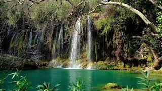 Beautiful Waterfalls 1, clear water sound, 1H long, ideal for difficult study, relaxation, tinnitus