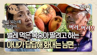 Husband scolds wife for trying to save unsellable peaches | Sanoramyun 701-1