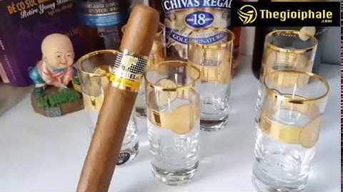 Bộ ly short uống rượu mạnh pha lê mạ vàng 24k mặt chiến binh Versace - Thegioiphale.vn