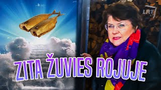 ZITA ŽUVIES ROJUJE | Zita ir žuvis rūkyta | juokutis