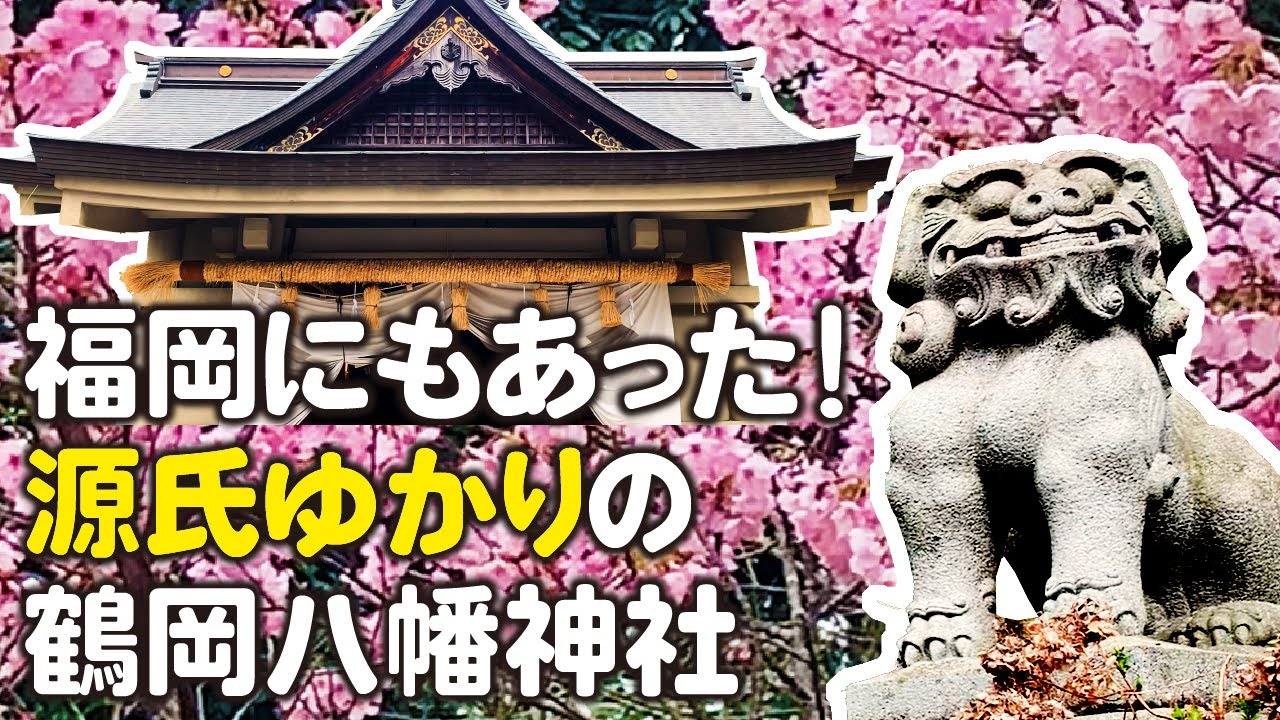 福岡県にもあった！源氏ゆかりの鶴岡八幡神社｜鎌倉殿の13人｜御朱印｜Japan Vlog