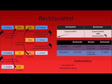 Video: Was ist ein Rechtsmittelführer vor Gericht?