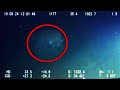 10 Mysterious Underwater Creatures Caught on Tape