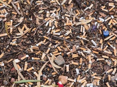 How Cigarette Butts Are Recycled Into Toys | World Wide Waste