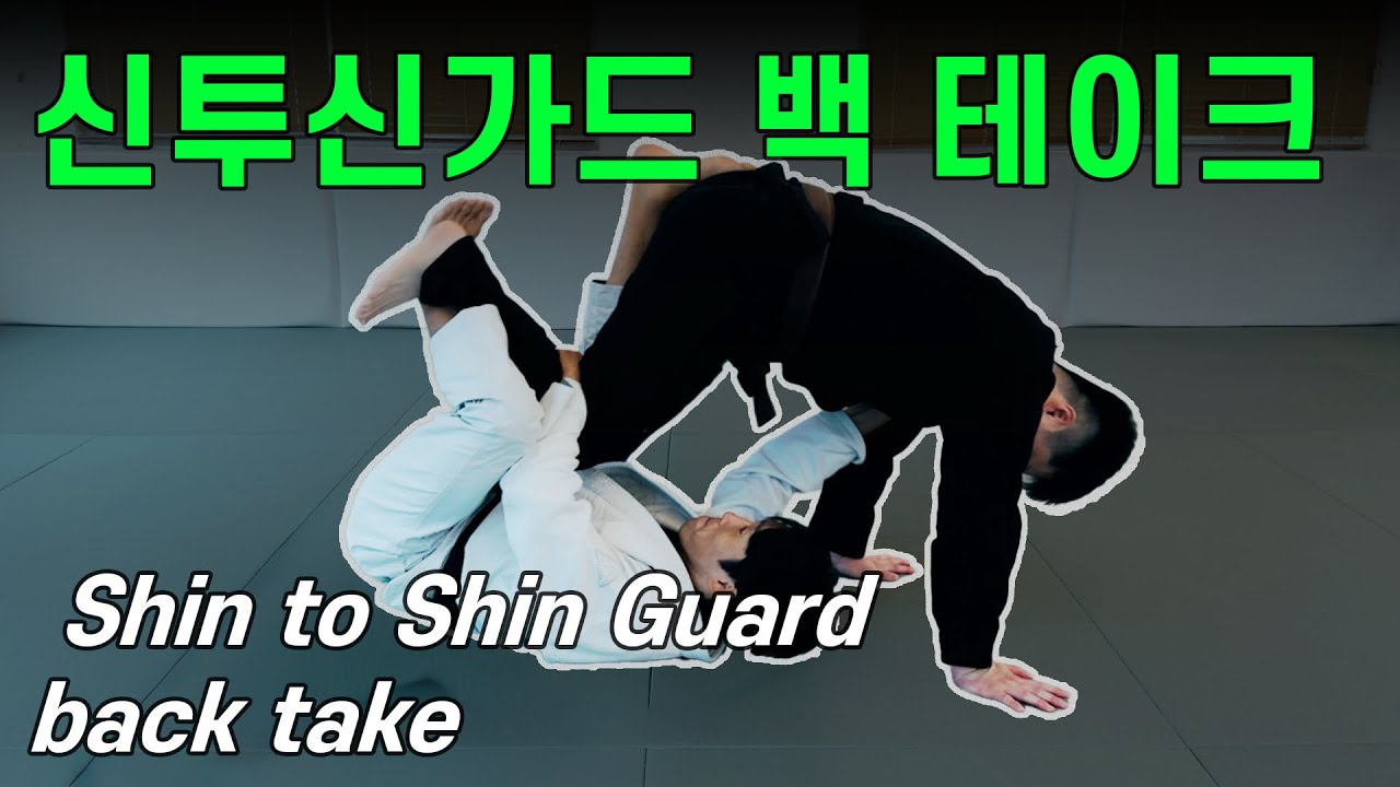 신투신 가드ㅣ백테이크와 스윕ㅣShin to Shin Guard Back Take