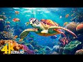 Ocean 4k  sea animals for relaxation beautiful coral reef fish in aquarium4k ultra 112