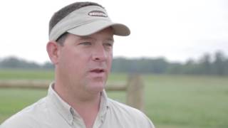 What's the biggest impact Bollgard® 3 XtendFlex® Cotton will have on cotton farming?