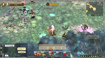 TOS imposible attack range cheat