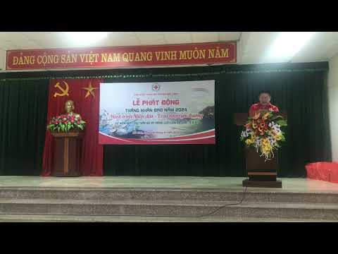 phát biểu khai