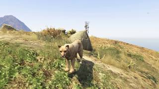 Unlogische Dinge In Gta Die 8 GrÖßten Logikfehler Der Gta Reihe Unlogische Dinge In Gta Die 8 GrÖßten Logikfehler Der Gta Reihe