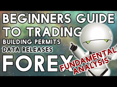 Fundamental Analysis For Novices- Building Permits!