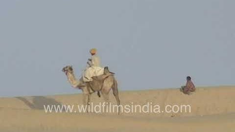 Thumbnail of Rajasthani Folk Songs on Sand Dunes | Cultural Desert Music