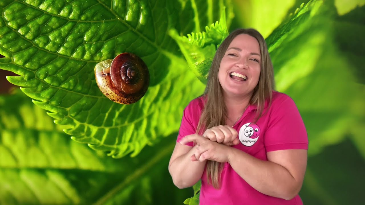 Mariehønen Evigglad