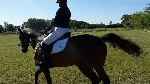 Karen Goetz Hawkeye level 1 Test B