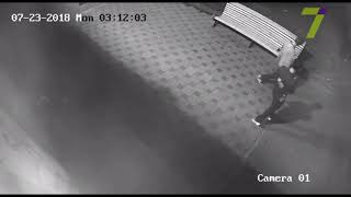 Ночью в Одессе украли скульптуру кошки (фото + видео) Ночью в Одессе украли скульптуру кошки (фото + видео)
