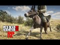 COMPREI O BURRINHO - Uma das melhores e mais úteis MONTARIAS DO NEVADA RP - RED DEAD RP