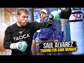 Saul alvarez training for jaime munguia 2024