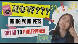 How to Bring Pet from Qatar to Philippines| Now You Know|| Know It Media Channel