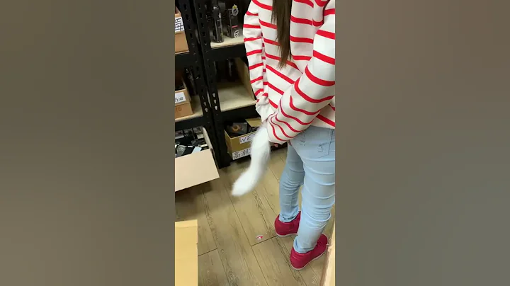 狐狸 尾巴 後庭 肛塞 x 玩達人 - 天天要聞