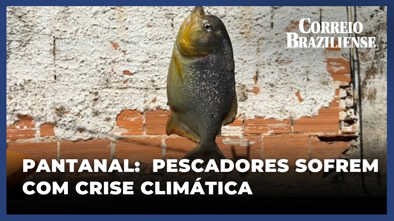 Incêndios prejudicam atividade pesqueira no Pantanal - 