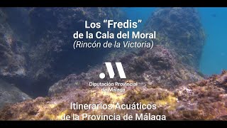 Los Fredis de la Cala del Moral (Rincón de la Victoria). Senda Litoral Los Fredis de la Cala del Moral (Rincón de la Victoria). Senda Litoral