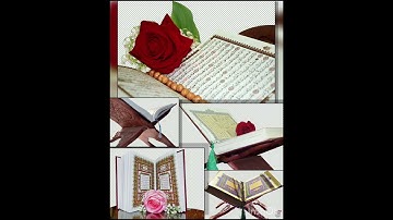 ما تيسّر من [الجزء الحادي والعشرين] للقارئ أمين موسى. رائعة.