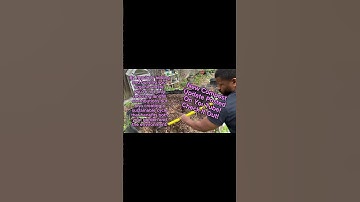 3 Years of Composting: Latest Pile Update & Benefits! #MemphisFoodForest