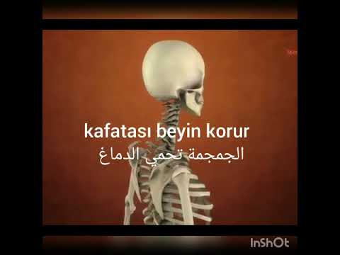 مصطلحات طبية درس وثائقي باللغة التركية الجهاز العظمي