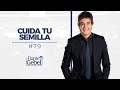 Dante Gebel #79 | Cuida tu semilla