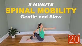 5 MINUTE SPINAL Mobility Flow For Better Flexibility & Movement