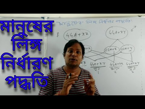 ভিডিও: কিভাবে একটি পুকুর পরিষ্কার করবেন: 15 টি ধাপ (ছবি সহ)