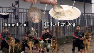 BEST HOME FOOD FOR DOGS 🐕 10 RS PER DOG 😳 50 DOGS IN KENNEL DAILY EXPENSE 2000 RS 😳😳😳