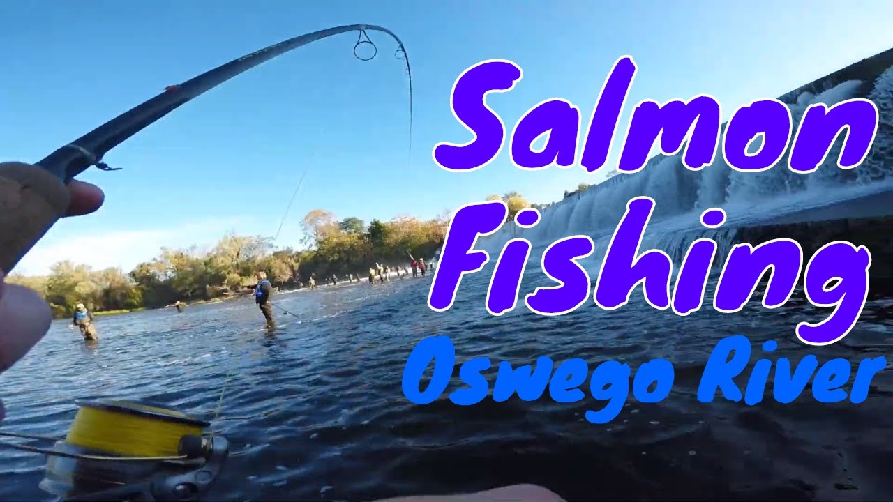 Oswego River Salmon fishing Oct. 9, 2020 YouTube