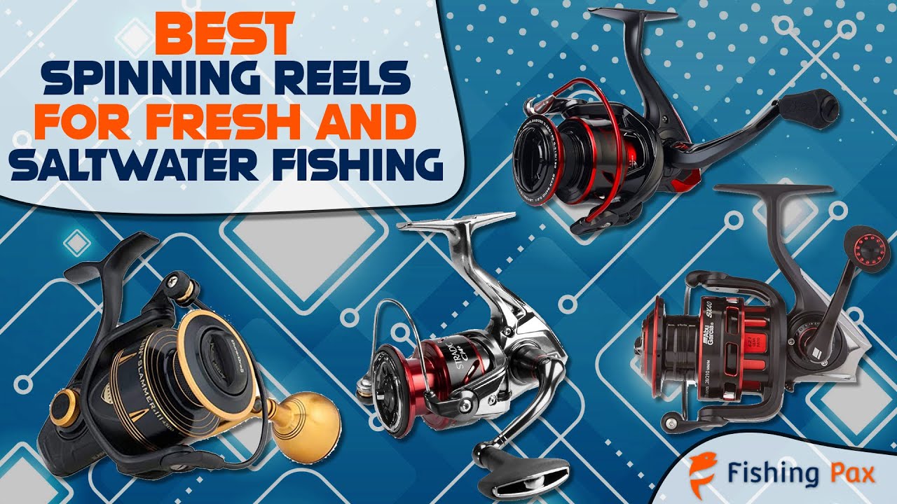 8 Best Spinning Reels Reviewed (For Freshwater & Saltwater) 