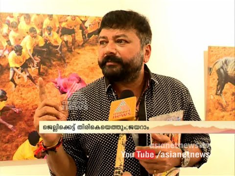 Jayaram (actor) supporting jallikattu