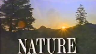 Pbs Intro And Funding Credits Nature October 1982 Wnet